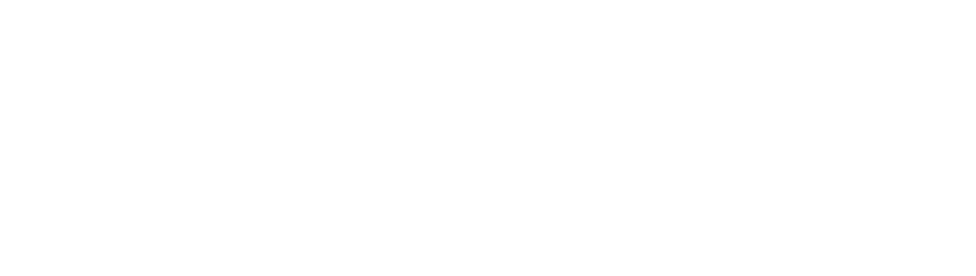The Modiano Group