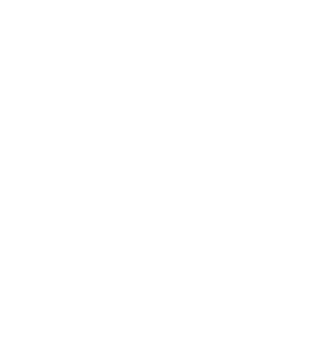 THE SCHNEIDER GROUP S.R.L.
