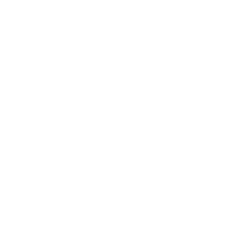 PETTINATURA DI VERRONE S.R.L.